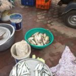 Kanyakumari Fish Market - Fish straight out of the boats