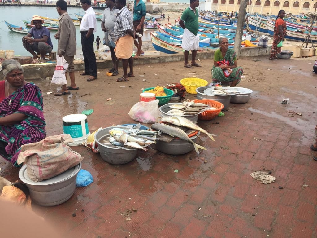 Kanyakumari Fish Market - Fish straight out of the boats