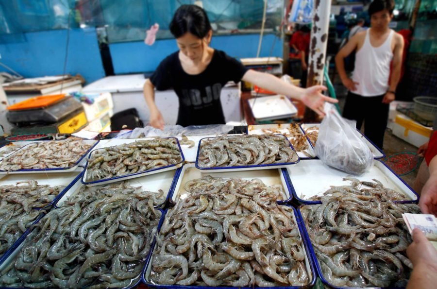 Key factors influencing seafood sales in China