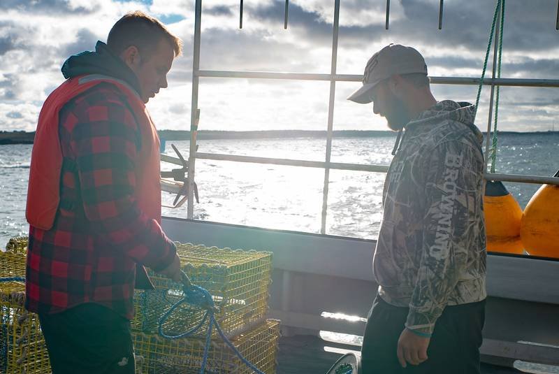 Enhanced Lobster Traps To Protect Whales