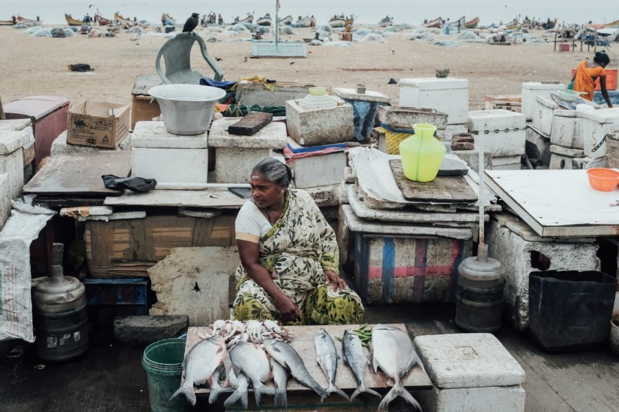 History of the Fishing Industry in India